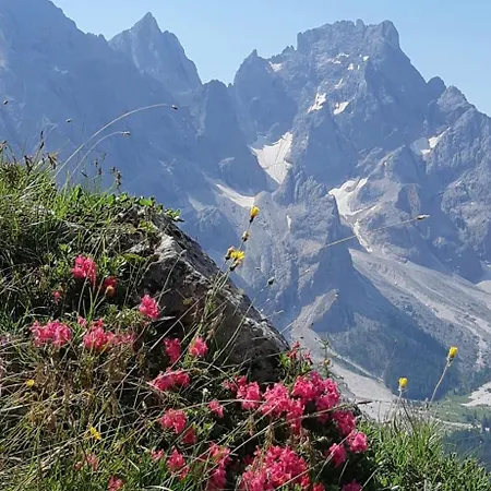 Апартаменты Sot Le Pale *