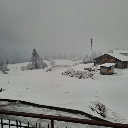 Sot Le Pale * Taibon