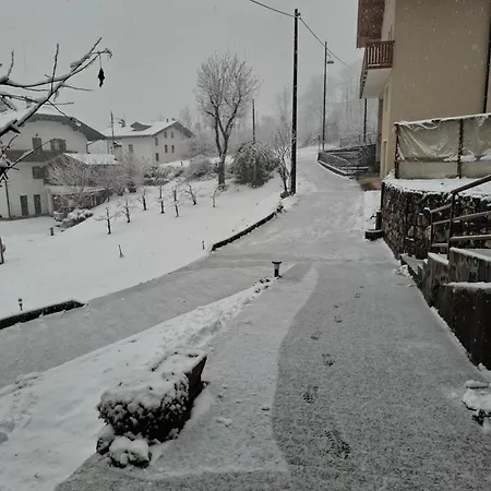 Sot Le Pale