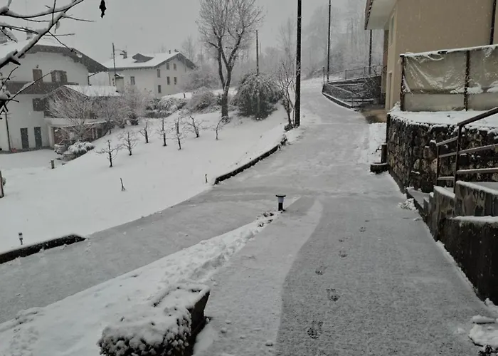 Sot Le Pale